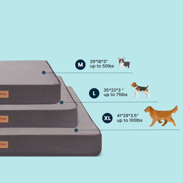 Puppy Paw Orthopedic Memory Foam Classic Dog Pad & Reviews Wayfair